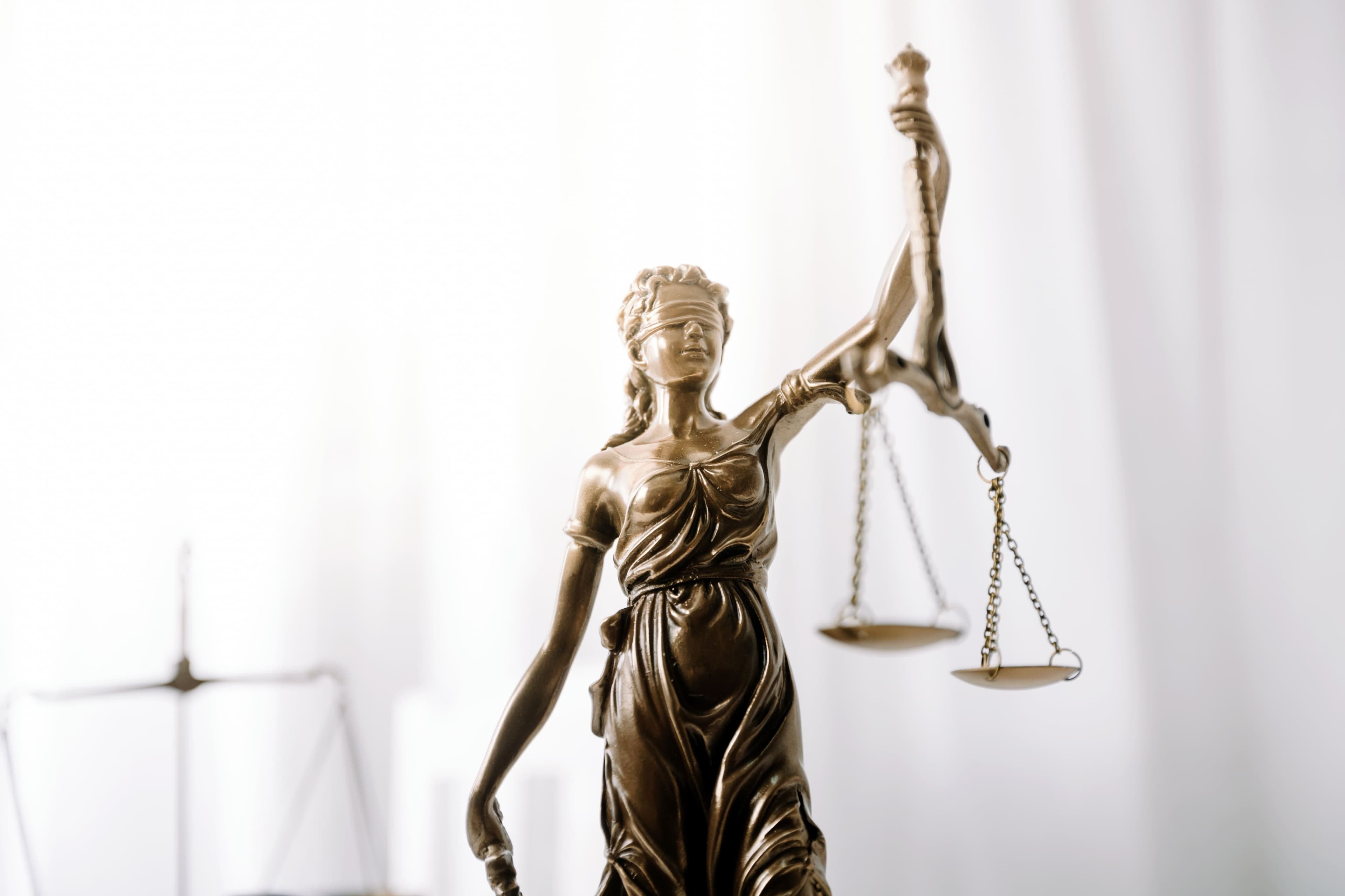 Università E Campus Master Di Primo Livello in Diritto Amministrativo I Livello